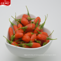 Ningxia goji berry na China